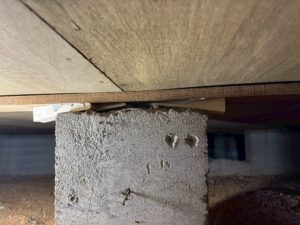 シロアリ駆除・防蟻処理 床下
